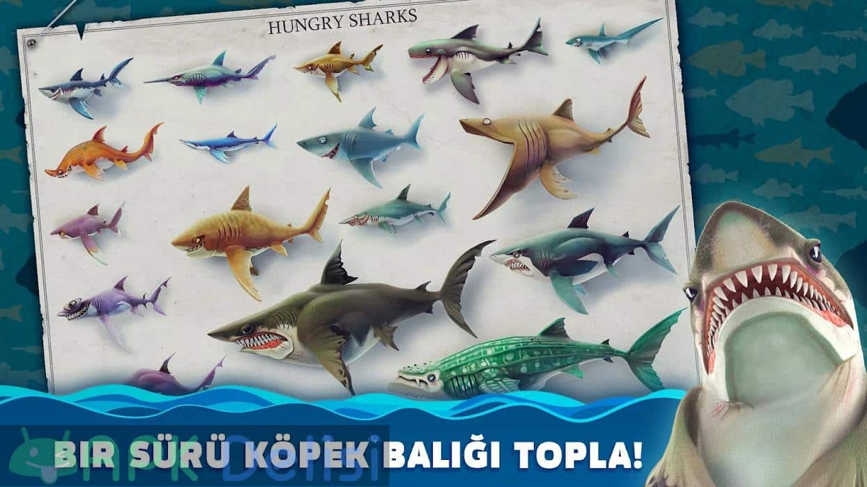 Hungry Shark World v4.6.2 MOD APK — PARA HİLELİ 2