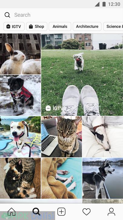 Instander v12.1 PRO APK — Instagram PLUS+ (Fotoğraf & video indirme, Video ileri ve geriye sarma) (AĞUSTOS 2021) 4