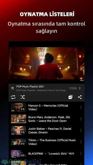 Pure Tuber v3.5.0.001 PREMİUM APK — REKLAMSIZ + ARKAPLAN + İNDİRME 3