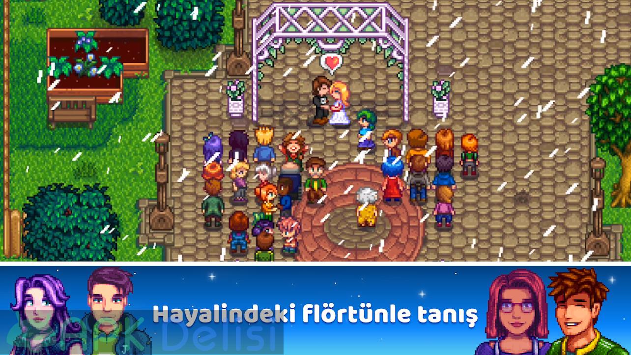 Stardew Valley v1.4.5.148 FULL / MOD APK — TAM SÜRÜM / PARA HİLELİ 5