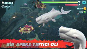 Hungry Shark Evolution mod apk 4