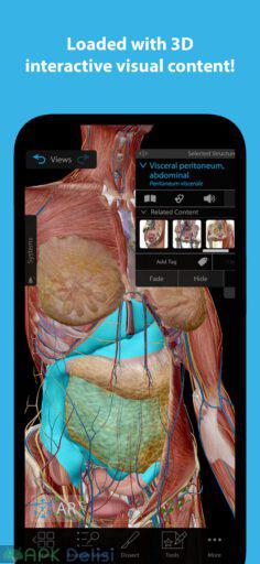 Human Anatomy Atlas 2023 v2023.05.005 FULL APK — TAM SÜRÜM 1