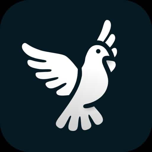 ByeDPI full apk 0