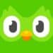 duolingo premium mod apk indir